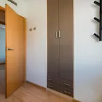 Bonito Apartment